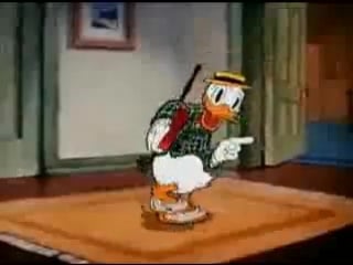 Каждый любит дональда