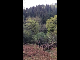 Matt goff instagram stories 01/05/17