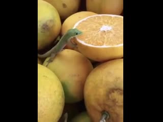 Приятного аппетита