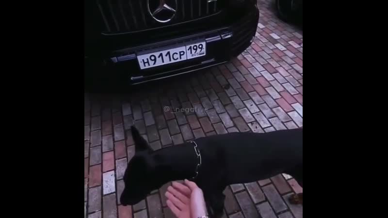 Music is life; armağan oruç gun double