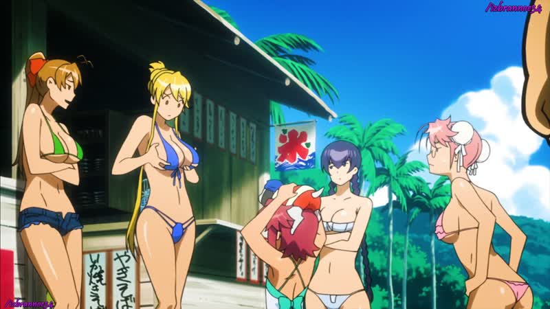Школа мертвецов мёртвые бродяги, спецвыпуск / highschool of the dead drifters of the dead ova (аниме молодые anime пляжный эпизод