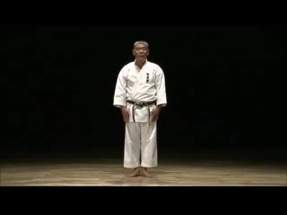 Naihanchi shodan / yasuhiro uema sensei / shorin ryu shubukan