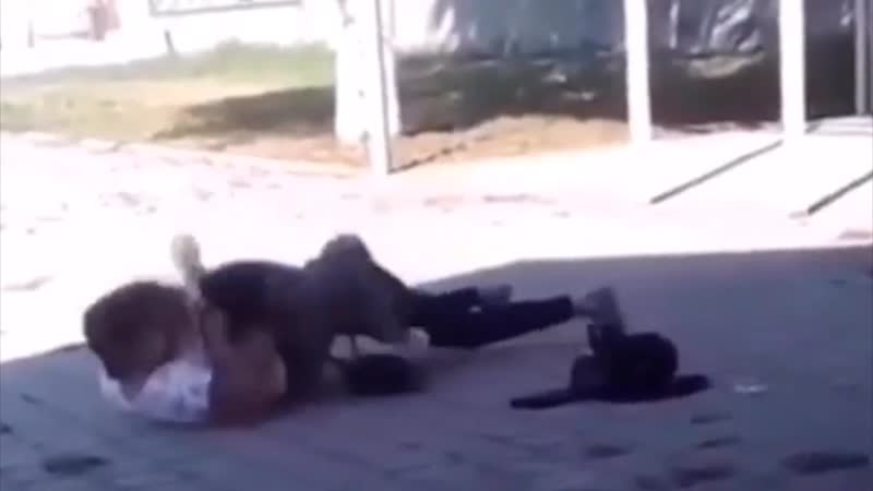 Драка школьниц в кабардино балкарии