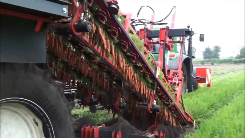 Морковный комбайн