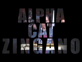 Alpha cat zingano highlights 2018