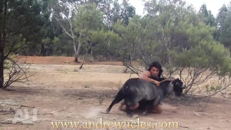 Суровый мужик ловит диких молодые голыми руками