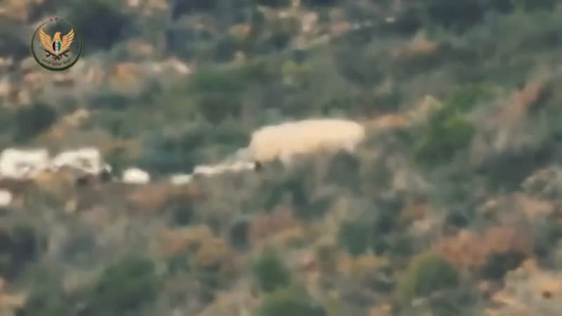 Сса, птур позиций саа