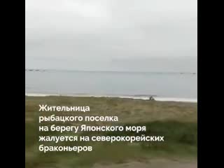 Браконьеры