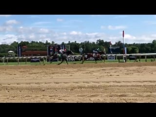 Code of honor is successful in his unveiling in saratoga