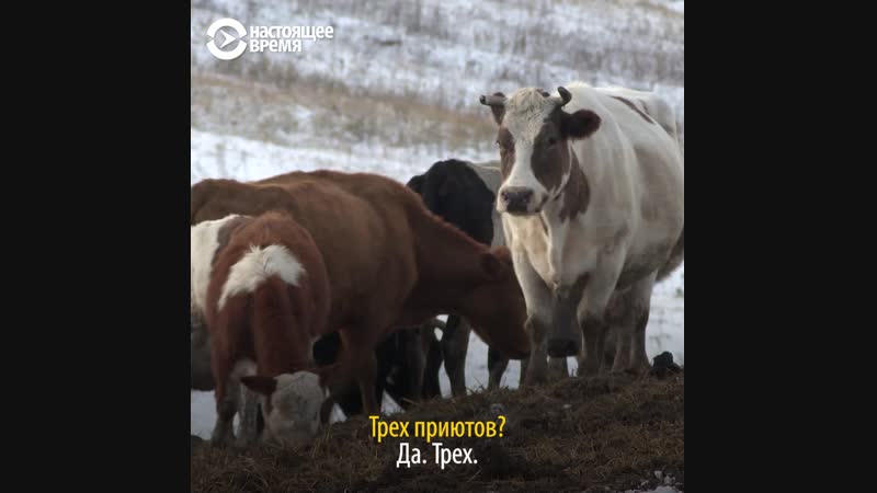 В украине создали "дома престарелых" для молодые