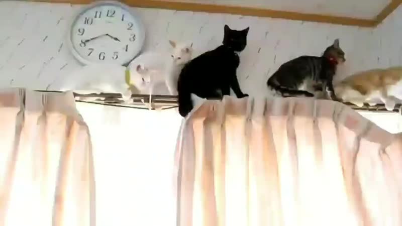 Vmin (sims) by porn ⁺¹⁸