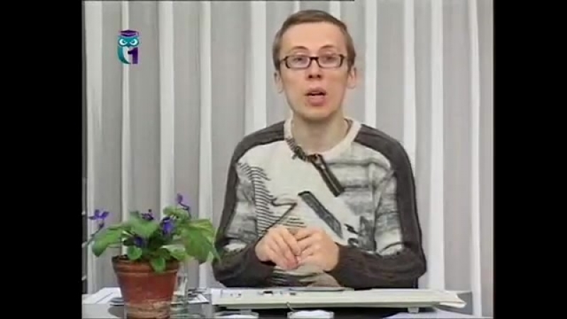 Экология передача 8 засоление может ли засоление повысить декоративные качества растения