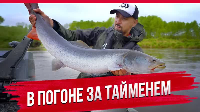 В погоне за тайменем и хабаровские приключения с андреем старковым
