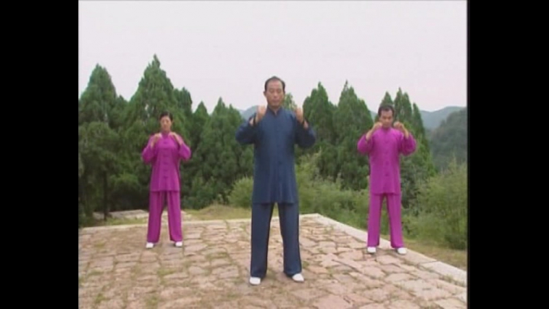 Оздоровительный цигун у цинь си (игры 5 ти молодые)