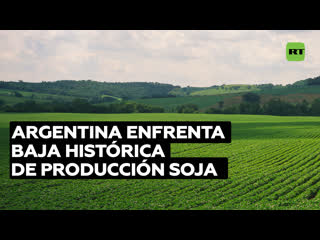 Argentina enfrenta el peor nivel de producción de soja desde el 2000 debido a la sequía