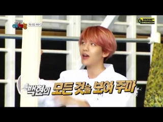 151020 cool kiz on the block [preview] @ baekhyun [exo]