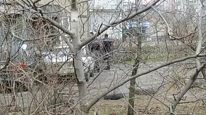 [бу lebed &amp; shaman] у нас на районе