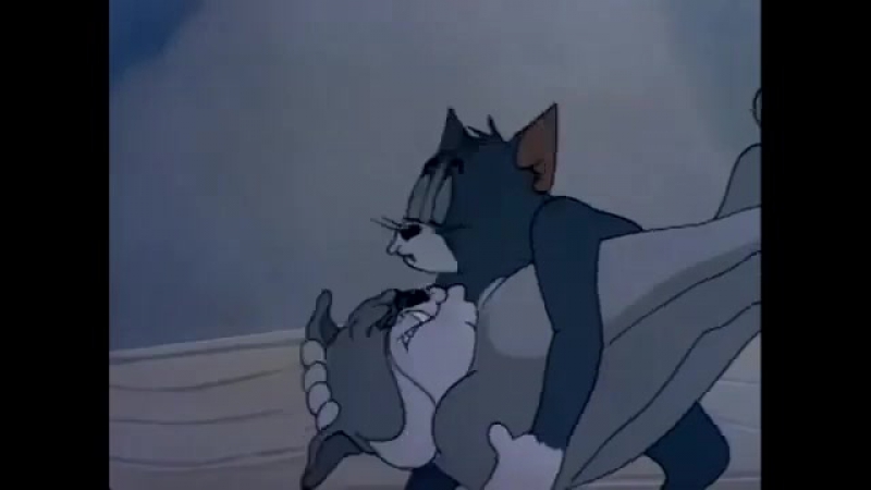 Еее том и джерри © видеожесть