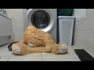 Красотка перед вебкой [female соло solo webcam порно porno сиськи amateur cam girls sex сосет секс минет tits spygasm bongacams]