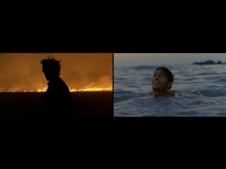 Terrence malick fire/water