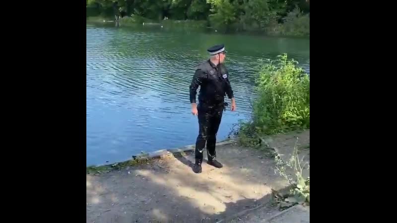 Полицию в бриташке стебут все