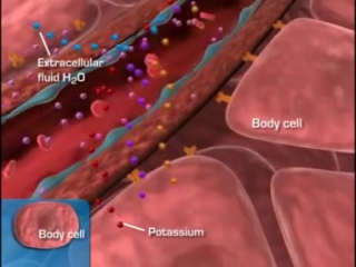 Diabetes pathophysiology 3d medical animation