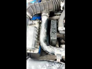 Video 20201215 115644 mp4