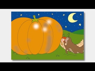 Chi abita nella zucca