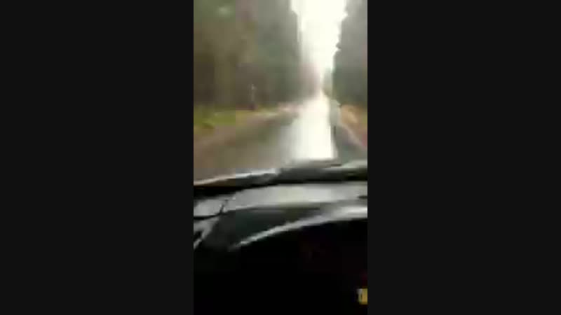 Когда решил экономить на бензине