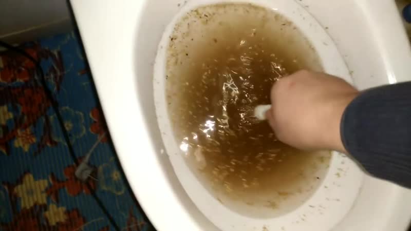 Как прочистить унитаз от особо гадкого говна