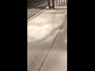 Даги спросили за шмот