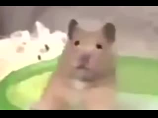 Sing with his dragon fang getting spun around by ash before falling to the floor