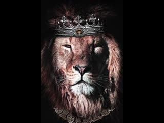 Father is back! стрим playerunknown's battlegrounds