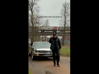 Bodiev no pasaran 🚀