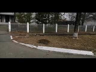 Vid 20201101 124305 mp4