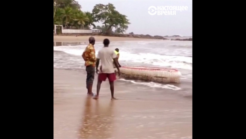 Лодки из отходов