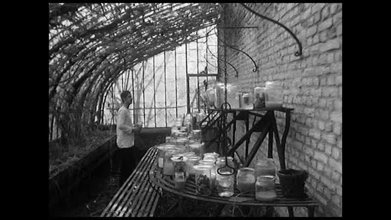 ”свадебная ваза” //1974, драма// тьерри зено