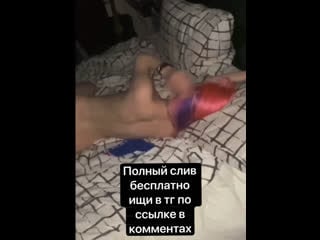 Диана астер слив