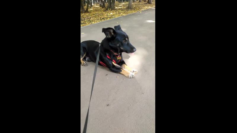 Домашний пуфик)