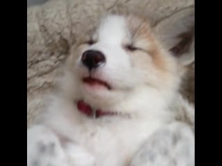 Спящая кроха ^ ^