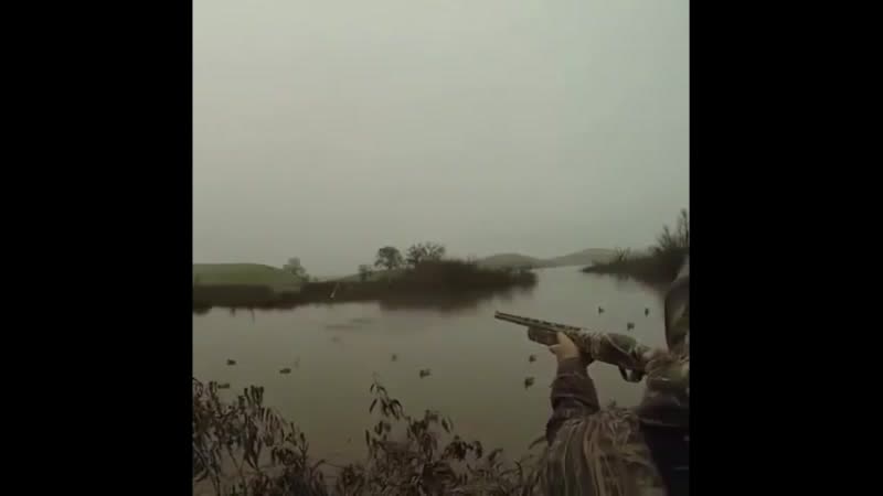 Хорошо сработали [jhjij chf,jnfkb