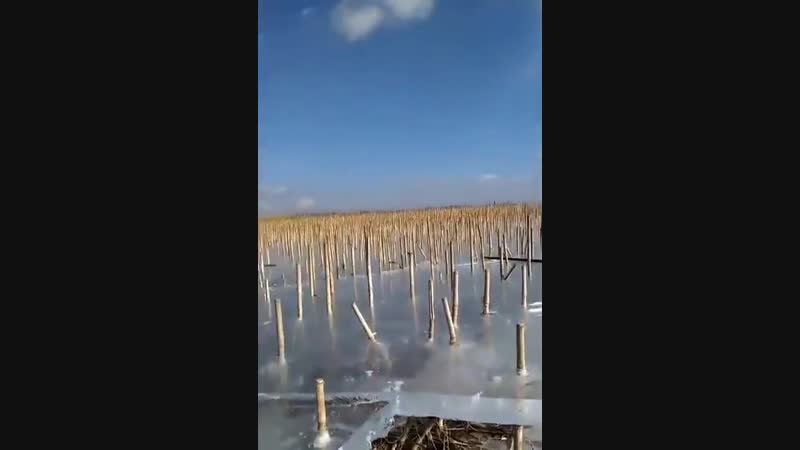 Это ледяное поле как то жутковато смотрится