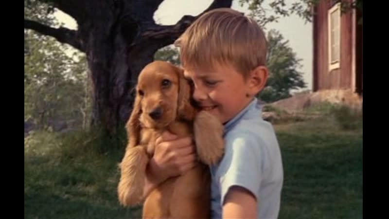 Чёрвен, боцман и моисей 1964