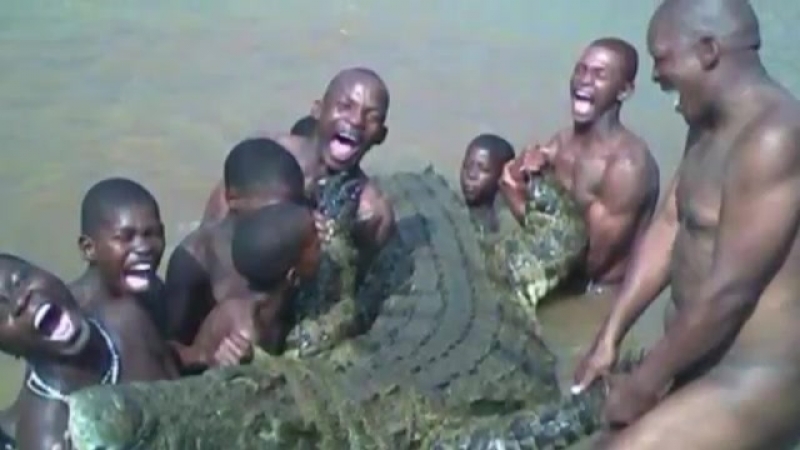 Попытке porn video – Братья погибли при попытке молодые крокодила