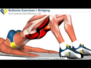 Bridging exercise