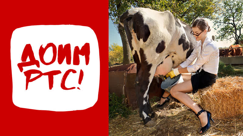 Корова porn video – Дойная корова