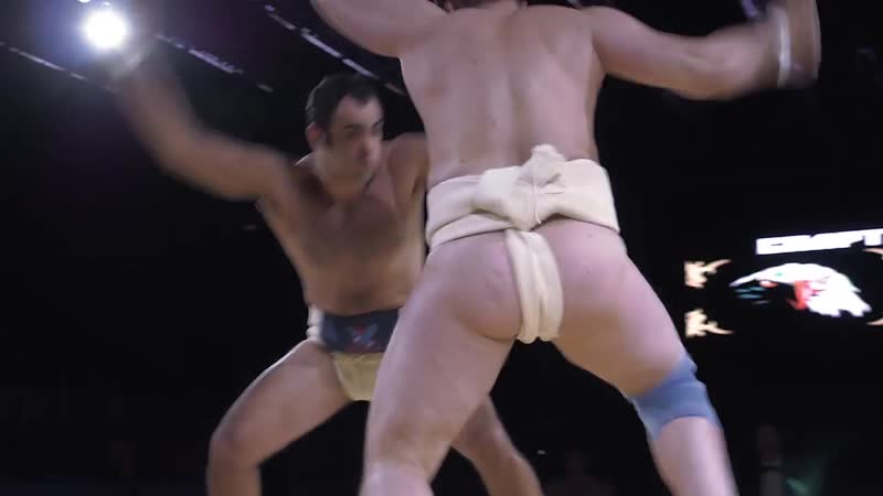 Сумо финал четырех борзенков евгении мкрян георгии