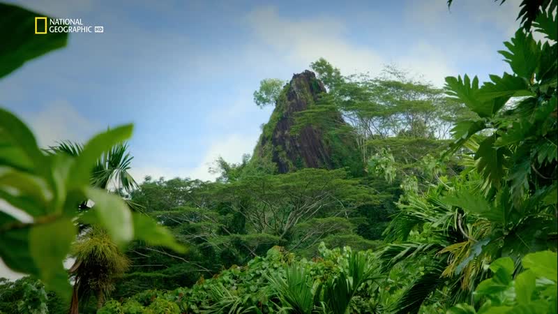 ᴴᴰ затерянные города с альбертом лином (3) затерянный город в тихом океане (2019) (док сериал, история, археология) 1080p
