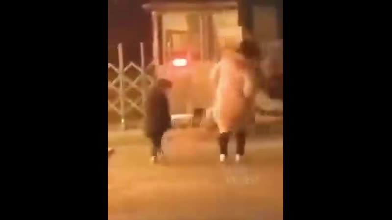 Яблоко от яблони