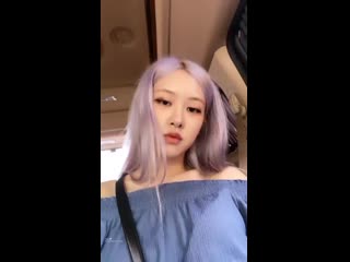 [instagram] 200701 rosé roses are rosie story update mp4